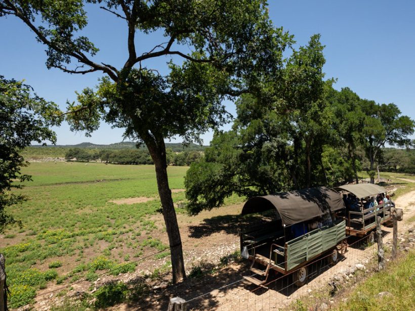 Students on a wagon ride through the Back Forty at Enchanted Springs Ranch near San Antonio